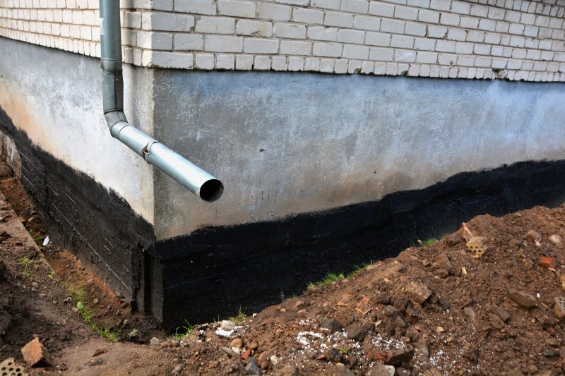 Signs of Drainage Issues